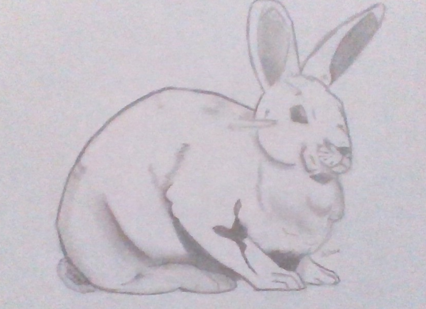 Screenshot 2025-11-28 095102.png