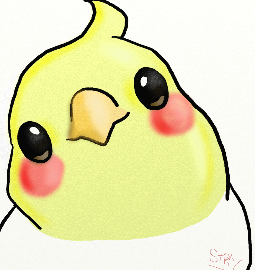 Captura de pantalla 2026-03-26 114200.png