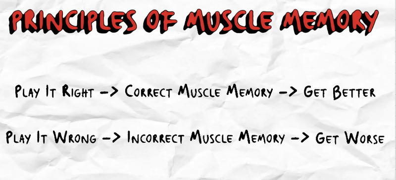 Muscle Memory Principles