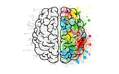 Two brain halves: left side mathematical, right side creative