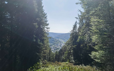 会当凌绝顶 一览众山小