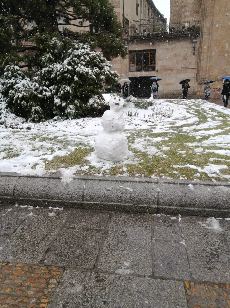 snowman salamanca.jpeg