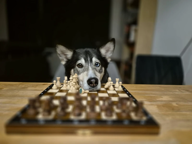 WhatsApp Image 2026-04-08 at 23.10.37 (1).jpeg