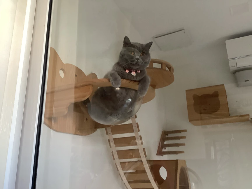 IMG_1120.jpeg