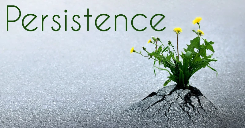 persistence.jpg