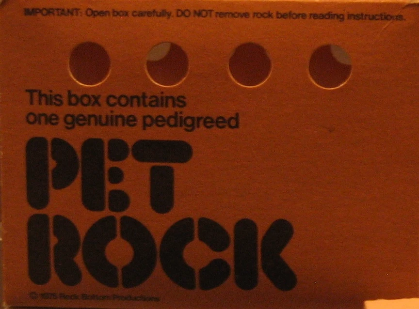 PetRock_Box.jpg