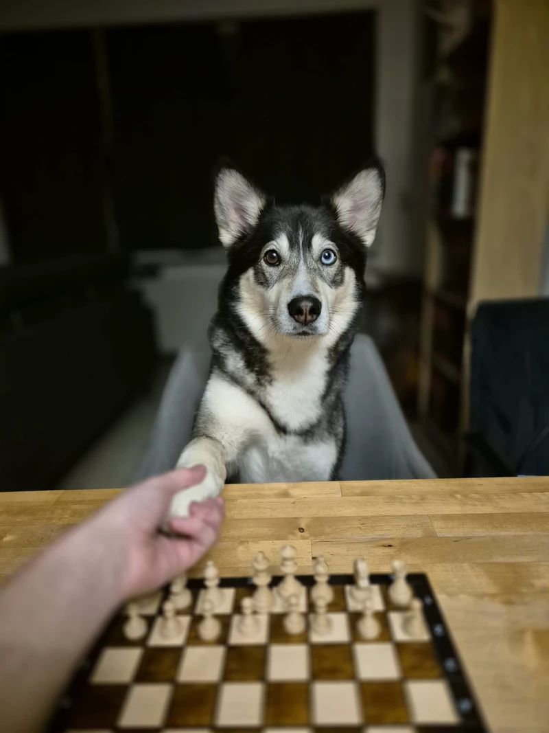 WhatsApp Image 2026-04-07 at 21.29.06.jpeg