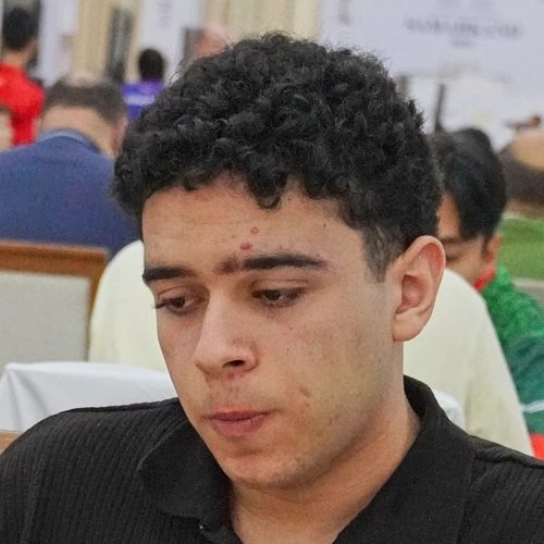 Hamed Wafa