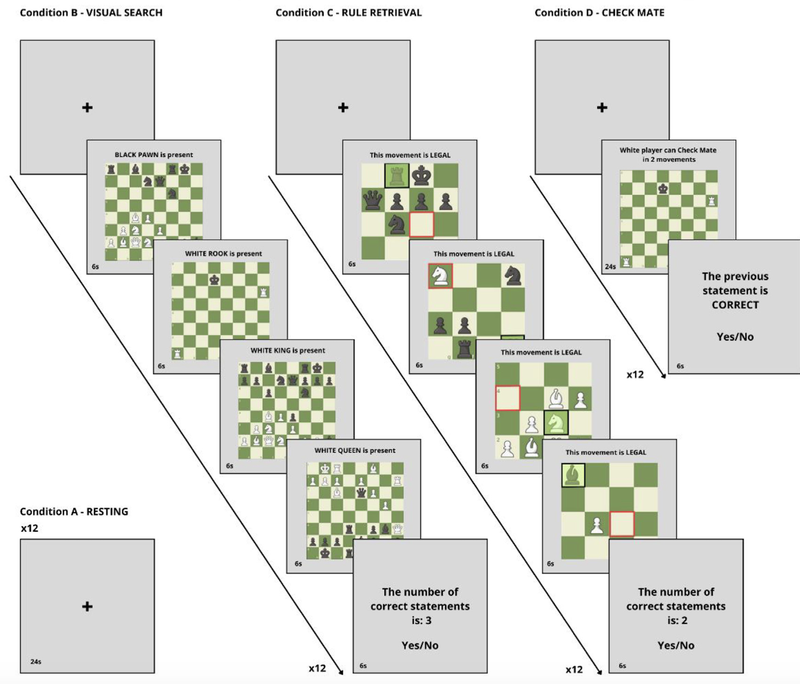 Screen Shot 2024-08-12 at 9.20.29 PM.png