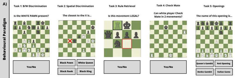 Screen Shot 2024-08-12 at 9.20.06 PM.png