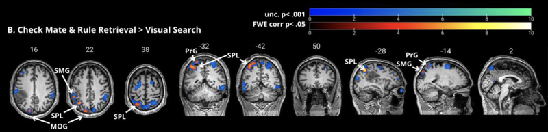 Screen Shot 2024-08-12 at 9.23.55 PM.png