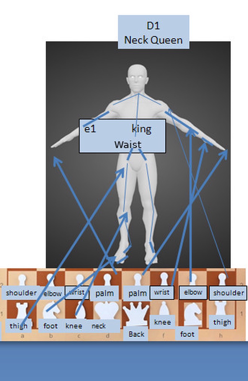 Chess pieces - and joints correspondance (here legs are hands))