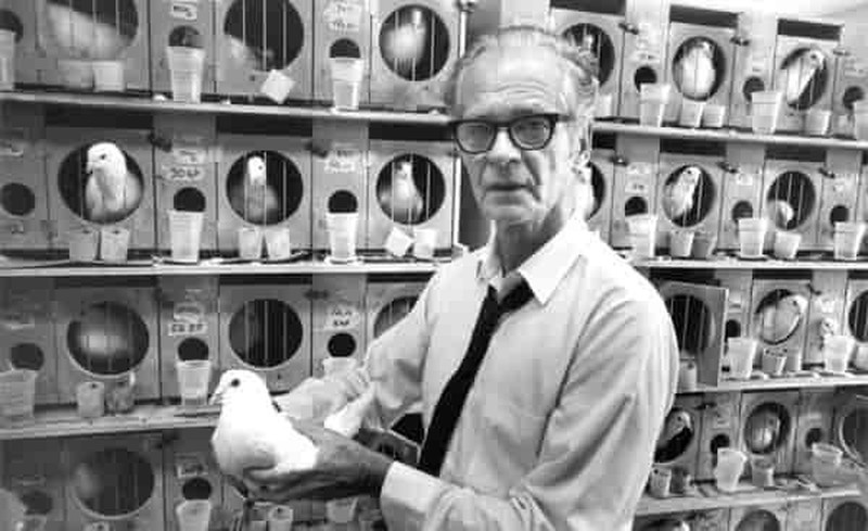 B. F Skinner with his test Pigeons