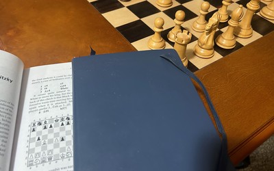 Studying using solitaire chess