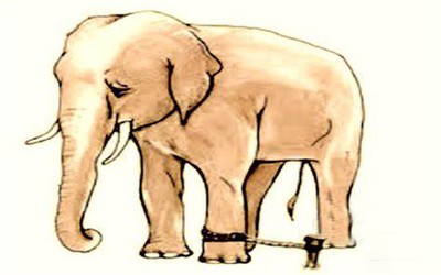 The Story of the Elephant and The Rope