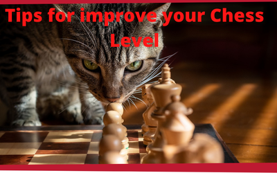 improve your chess level