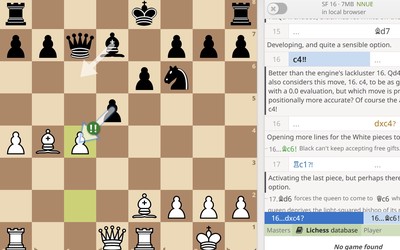 Lichess Game of the Month: February 2024