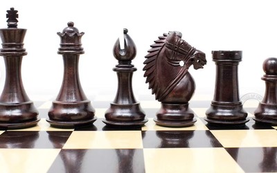 The is the actual chess set I got for Christmas 2022!