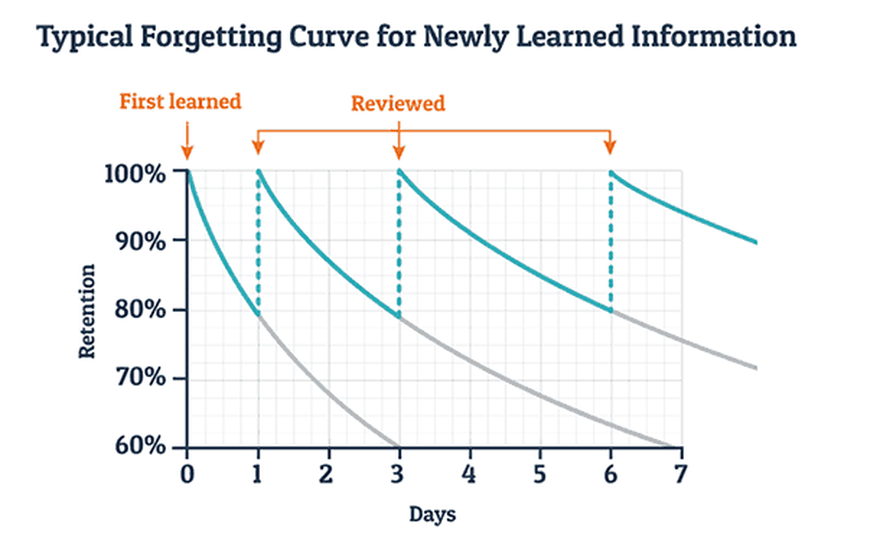 Forgetting curve