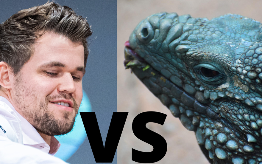 Carlsen vs Godzilla