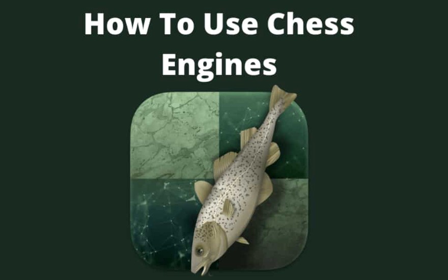 NoelStuder's Blog • How To Use Chess Engines •