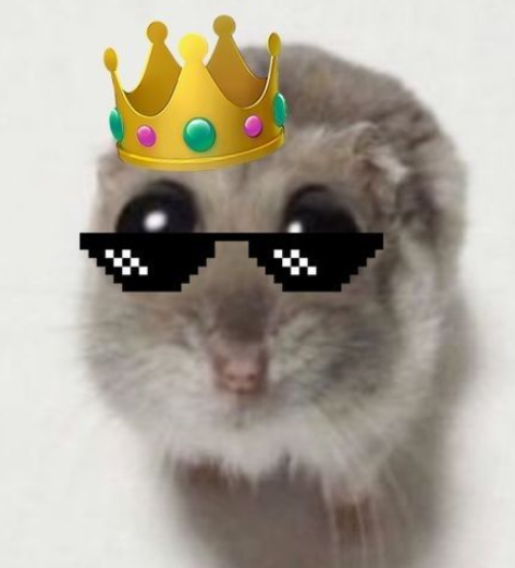 Opera Снимок_2026-03-03_140550_yandex.ru.png