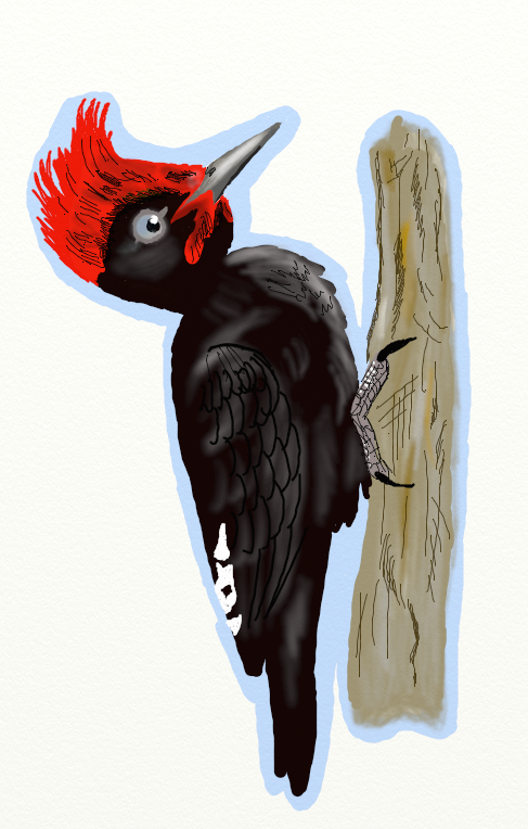 Captura de pantalla 2026-03-26 113821.png