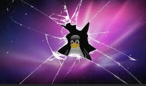 Screenshot 2024-10-09 2.24.00 PM.png