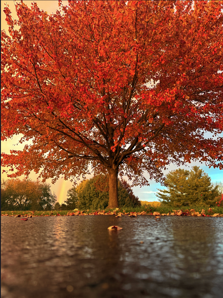 Screen Shot 2025-10-31 at 7.23.40 PM.png