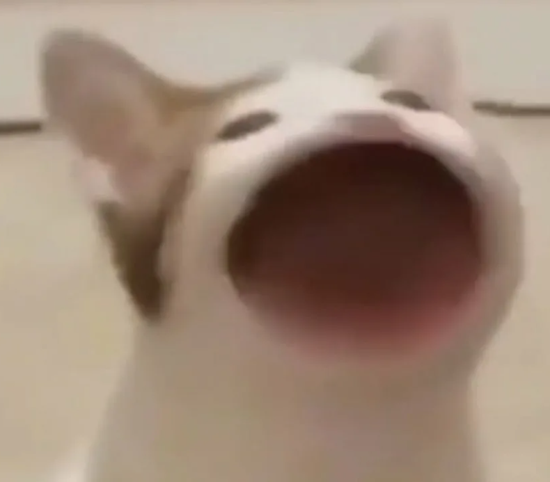 Opera Снимок_2026-03-16_105918_yandex.ru.png