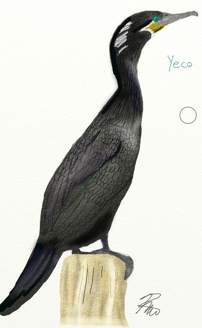 Captura de pantalla 2026-03-26 113913.png