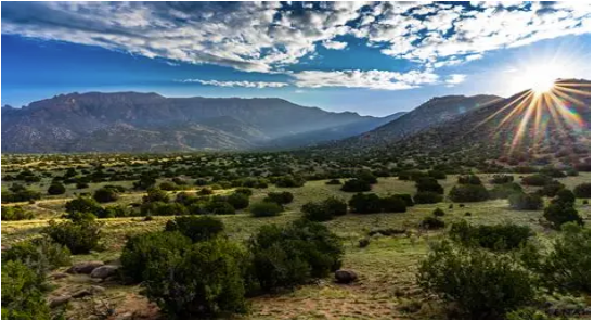 Screenshot 2025-11-03 143946.png