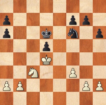 Fedoseev vs Wojtazsek .jpg